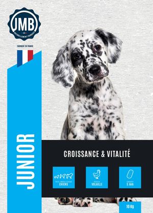 Chien Junior (DMA93074).