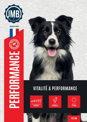 Chien Performance (DMA93076).