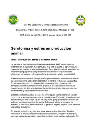 Taller 10 L2