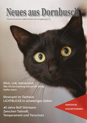Magazin6:2026