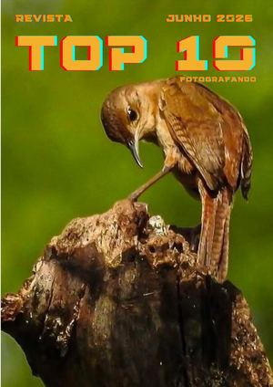 Revista Top 10 Junho 2026