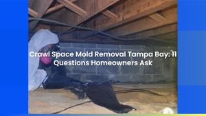 Crawl Space Mold Removal Tampa Bay: 11 Questions Homeowners Ask