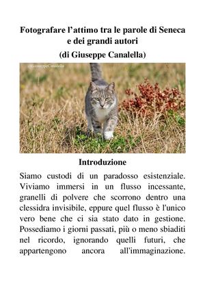 Fotografare L’attimo Tra Le Parole Di Seneca E Dei Grandi Autori (Di Giuseppe Canalella)