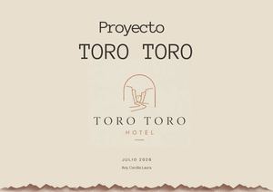 Laura Cecilia Trabajo Final Toro Toro