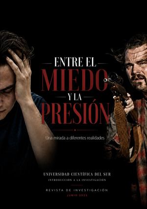 Revista De Investigación