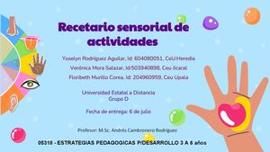 Grupo D Recetario Sensorial Estrategias