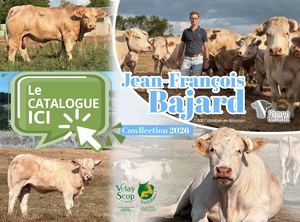 Jean-François Bajard cowllection2026