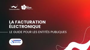 Publics Cw Le Guide De La Facturation éLectronique (Présentation) (2)