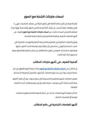 اسماء ماركات الشنط مع الصور (1)
