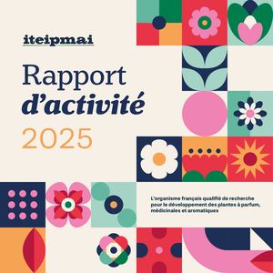 Rapport d'activité 2025