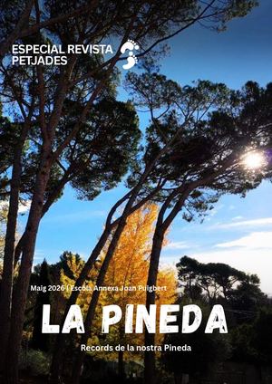 Especial Pineda