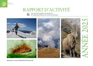 Rapport d'activité 2025