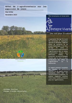 Rapport Papillon Bretagne Vivante Pour Rés'agri56 2023