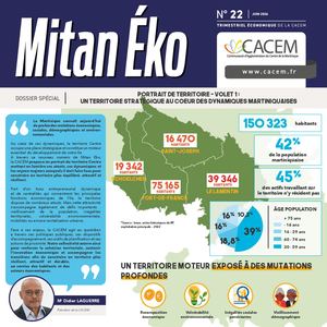 Cacem26 Mitaneko N6