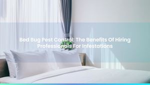 Bed Bug Pest Control: The Benefits Of Hiring Professionals For Infestations