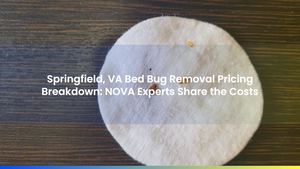 Springfield, VA Bed Bug Removal Pricing Breakdown: NOVA Experts Share the Costs