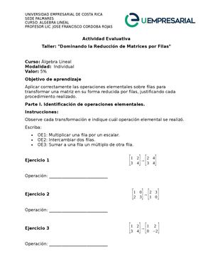 Actividad Evaluativa Individual 5 Reducción De Matrices