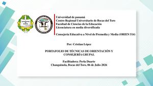 Portafolio Consejeria Educativa a Nivel de Premedia y Media