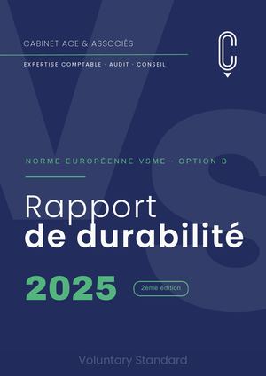 Rapport de Durabilité VSME 2025 ACE & Associés (Voluntary Standard)