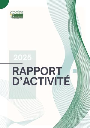 Rapport D'Activité 2025 Codes 06