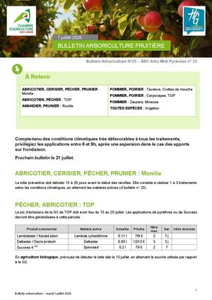 Bulletin arbo n°25 du 7 Juillet 2026