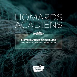 Catalogue V5