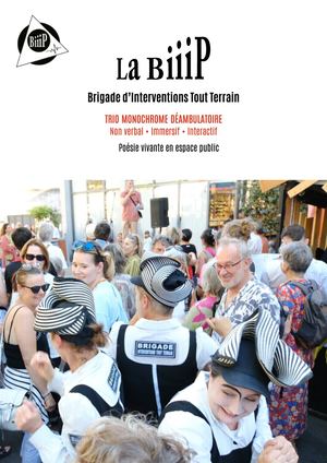 La Brigade d'Interventions Tout Terrain - BiiiP