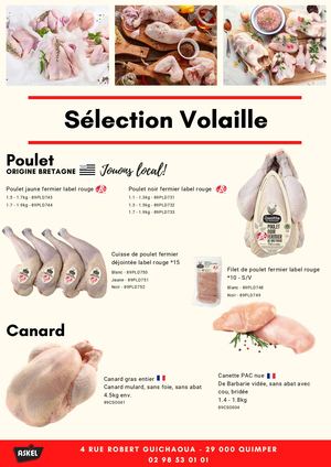 Notre Sélection Volaille