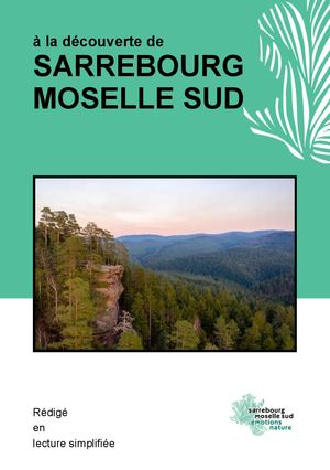 Guide Découverte - Lecture simplifiée