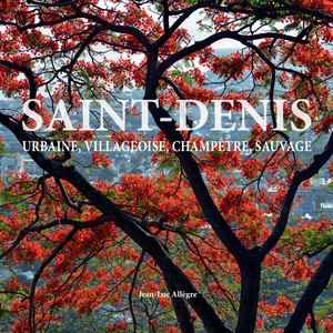 Livre Saint Denis Calameo