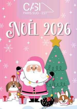 CATALOGUE JOUETS NOËL 2026 CASI PSE