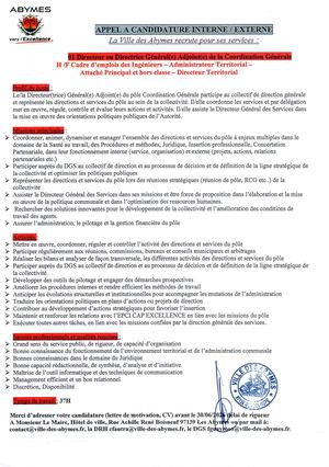 Appel à Candidature Dgacg Modifié
