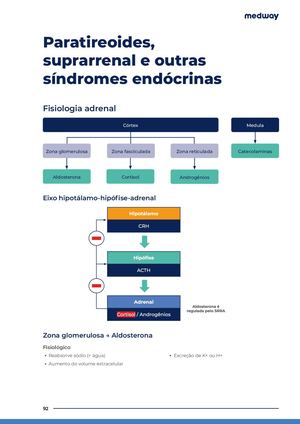 Paratireoides Suprarrenal E Outras Sindromes Endocrinas Z Pdrma G