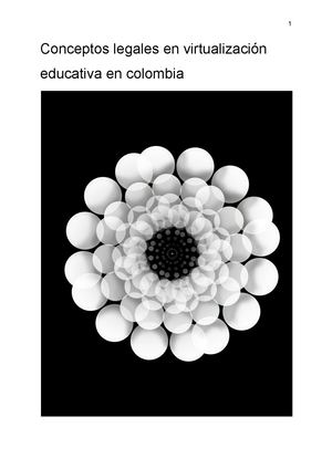 Programas Virtuales (1)