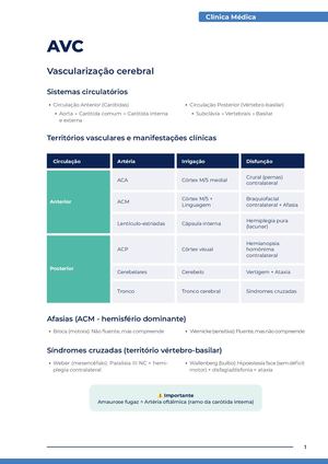 Avc Arquivo Revisa3o 2025 V2