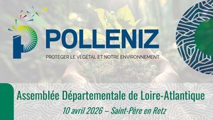 Ado 2026