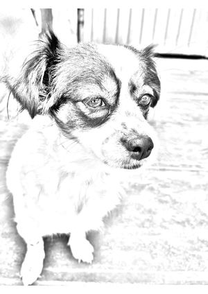 Catálogo de fotos