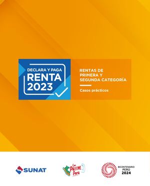 17-20 24UC00881 Renta de Personas Naturales y Fuente Extranjera DISTANCIA PERU V2026