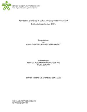 Infografía, Conceptualización Senalogía