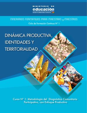 1 Metodologia Del Diagnostico Comunitario Participativo (1)