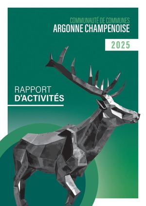 Rapport D'activités 2025 Compressed