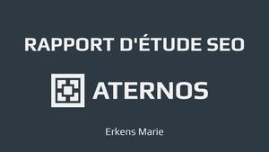 Compte Rendu D'étude Sur Aternos Marie Erkens