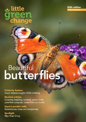 Little Green Change magazine, 2026 edition