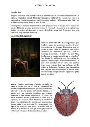Texte Exposition Juin 2025 Fusion Des Arts Communique