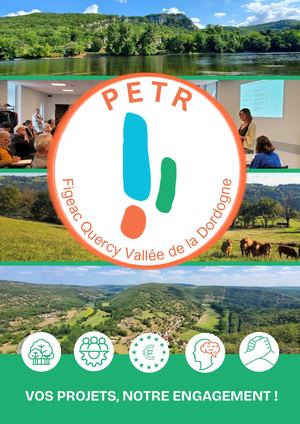 Brochure Petr En Ligne