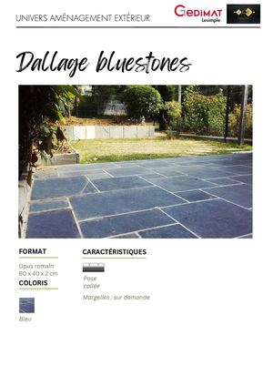 Dallage Bluestones