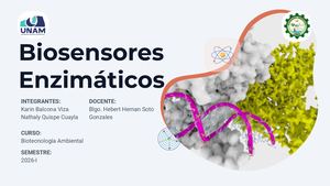 Biosensores Enzimaticos Biotecnología Ambiental