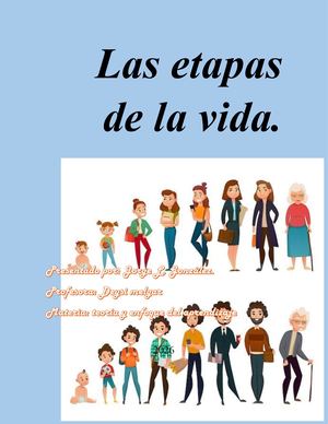 Las Etapas De La Vida