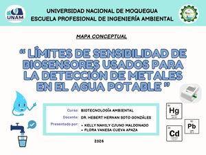 Mapa Conceptual Biosensores
