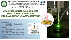 Avance Cientifico En Biosensores